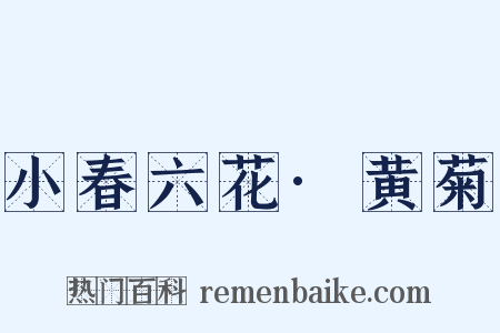 小春六花·黄菊是什么意思的图片